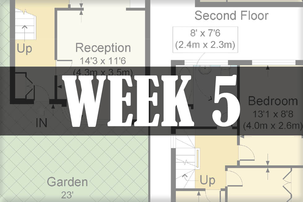 home renovations week 5