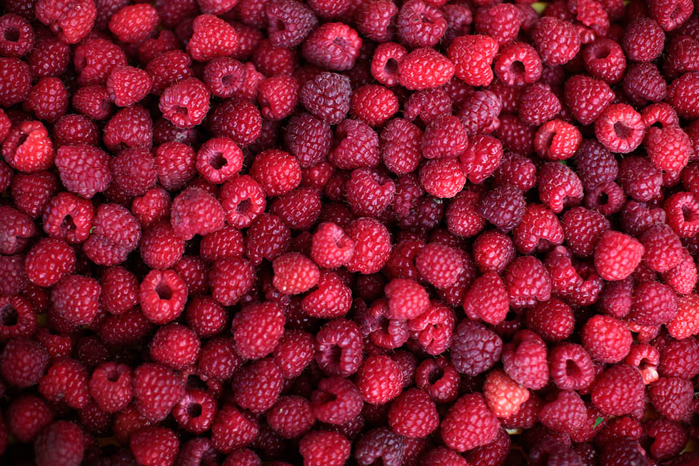 raspberries