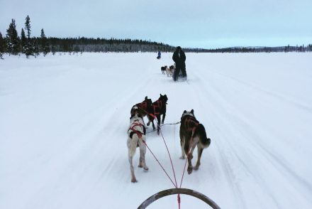 ICEHOTEL Sweden wilderness adventure